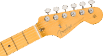 FENDER AMERICAN PROFESSIONAL CLASSIC STRATOCASTER® Maple Fingerboard, Faded Firemist Gold – Image 5