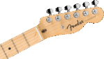 Fender Electric Guitars // Standard Telecaster®, Maple Fingerboard, Black Pickguard, Butterscotch Blonde – Image 4