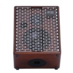 Acus Acoustic Amplifier ONEFORSTRINGS 6T Simon Cut wood – Image 4