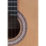 PRIMERA 4/4 GUITARE CLASSIQUE PRODIPE GUITARS – Image 5