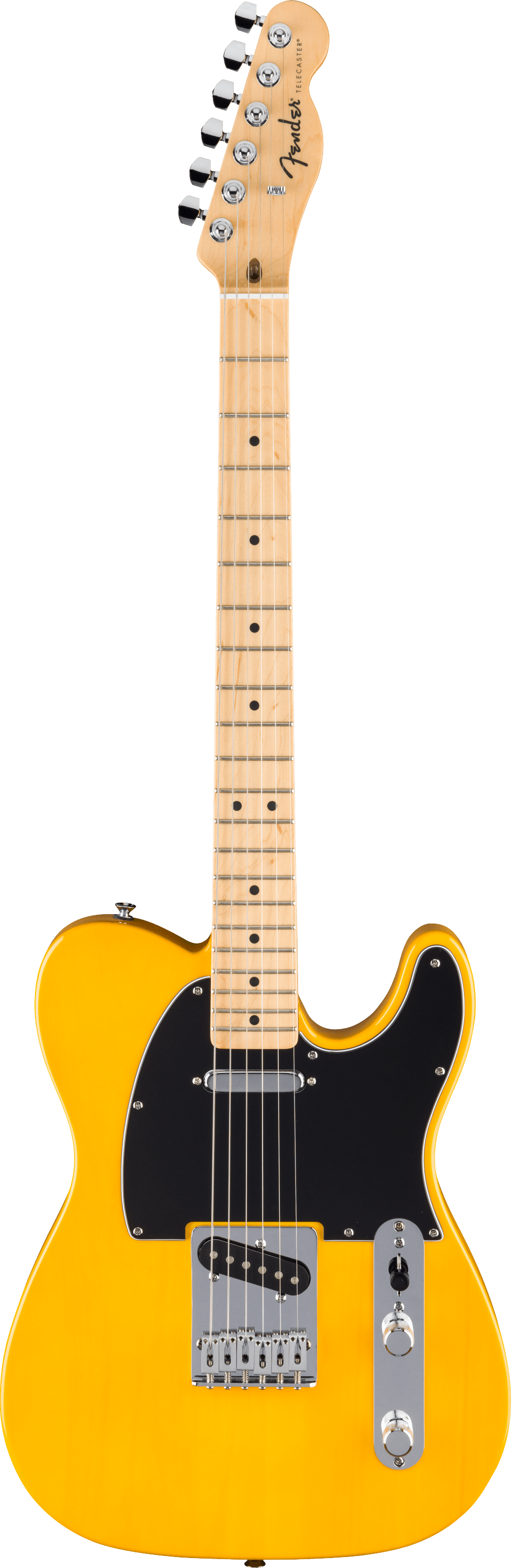 Fender Electric Guitars // Standard Telecaster®, Maple Fingerboard, Black Pickguard, Butterscotch Blonde