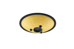 MEINL Sonic Energy 10" Compact Steel Tongue Drum ré mineur 8 notes 432 Hz doré – Image 4