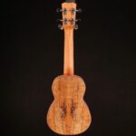 Cordoba 24S Spruce Soprano Ukulele – Image 7