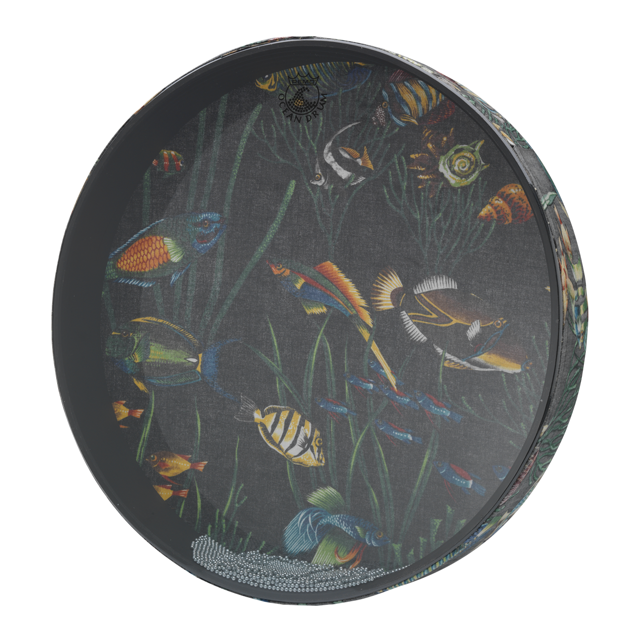 Remo ET-0212-10- ET-0212-10 Ocean Drum, 12" Fish Graphic – Image 1