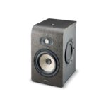 Focal Shape 65 Analog Monitoring System