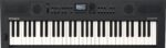 ROLAND GO SERIES GO:KEYS-5-GT - GO:KEYS 5 (GRAPHITE)