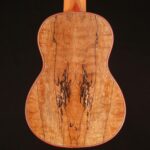 Cordoba 24S Spruce Soprano Ukulele – Image 6
