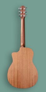 Furch Pioneer-EM – Image 2