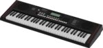 ROLAND E-X SERIES E-X10 - PORTABLE KEYBOARD WITH AUTO-ACCOMPANIMENT FEATURES AND MICROPHONE INPUT – Image 5