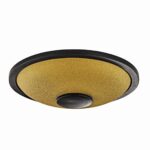 MEINL Sonic Energy Steel Tongue Drums Small Steel Tongue Drum - C Minor - Gold – Image 2