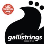 GALLI STRINGS® CORDES GUITARE MANOUCHE SILK & STEEL MEDIUM 011-047 (À BOULE) – Image 2