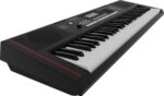 ROLAND E-X SERIES E-X10 - PORTABLE KEYBOARD WITH AUTO-ACCOMPANIMENT FEATURES AND MICROPHONE INPUT – Image 4